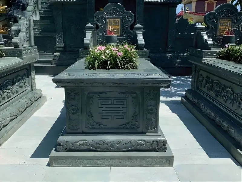 Gia chủ tránh trồng cây thân lớn, hoa lá xum xuê che kín miệng lỗ