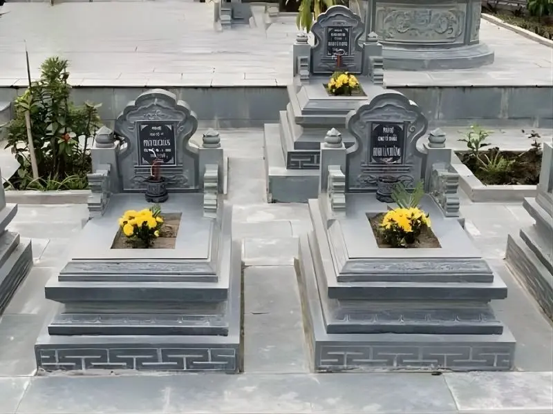 Cúc vạn thọ là cây thân thảo, không cắm sâu xuống lòng mộ nên rất phù hợp trồng trực tiếp tại lỗ thông thiên